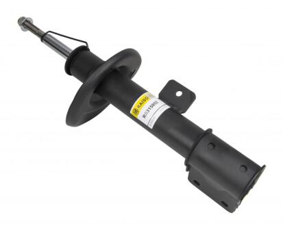 Амортизатор передній пр. Citroen C4 II, DS4, Peugeot 3008 09- Raiso RS315852