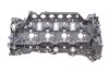 Головка блоку циліндрів 2.0-2.3DCi RENAULT 110417248R (фото 3)