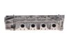 Головка блоку циліндрів 2.0-2.3DCi RENAULT 110417248R (фото 8)