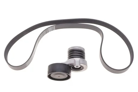 Комплект ременя генератора Renault 1.5 dCi (6PK1195) RENAULT 117202495R