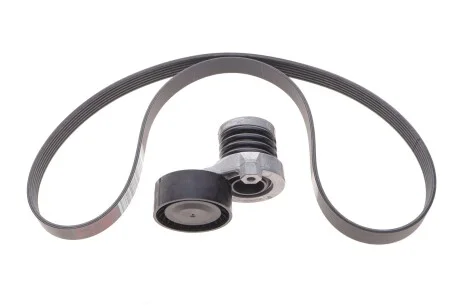 Комплект ременя генератора Renault Duster RENAULT 117202506R