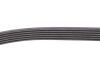 Комплект ремня генератора Duster RENAULT 117202506R (фото 6)