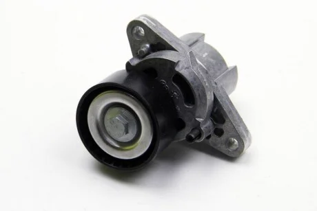 Ролик генератора натяжний Renault Kangoo 14/ 16 (K4J/ K4M) /Dacia Logan 1.6 RENAULT 82 00 603 359