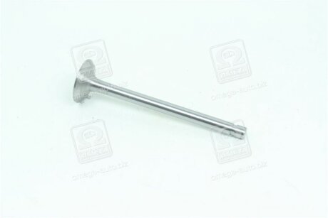 Клапан випускний Д-240-245, Д-65 (d-11мм) (малий) RIDER 240-1007015