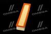 Фільтр повітряний ExtraClean DACIA RIDER REC130237 (фото 4)