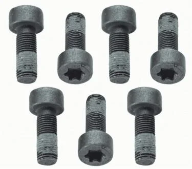 Болт з шестигранною головкою SACHS 1874 000 040