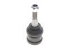 Опора кульова CHRYSLER VOYAGER IV, DODGE CARAVAN 00-08 перед. міст низ (Вир-во) SKF VKDS 318903 (фото 1)