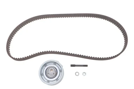 Комплект ГРМ AUDI, VW SKF VKMA 01113