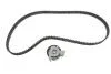 Комплект зубчастого ременя (Вир-во) SKF VKMA 05402