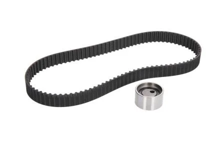 Роликовий модуль натягувача ременя (ролик, ремінь) SKF VKMA 96214