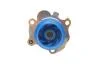 Водяний насос + комплект зубчатого ременя (Вир-во) SKF VKMC 01113-2 (фото 6)