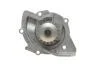 Комплект ременя ГРМ з водяним насосом FORD KUGA II (DM2) 2.0 TDCi (Вир-во) SKF VKMC 03205 (фото 11)