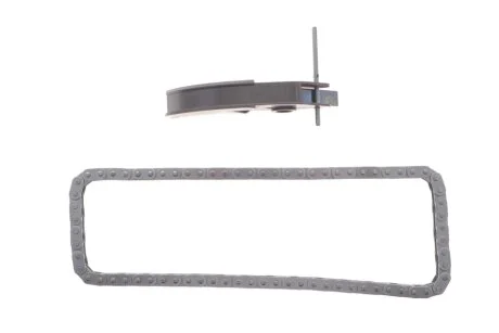 Комплект привідного ланцюга Ford 2,0/2,2/2,4 TDCI Duratorq 16V (вир-во) SKF VKML 84602
