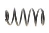 Пружина підвіски SOLGY 212164 (фото 1)