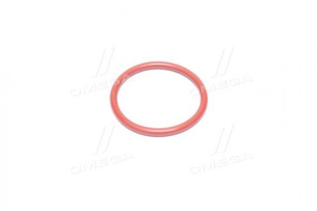 Кільце ущільнювальне водяного насоса Rodius, Stavic, Actyon, Kyron, Musso, Chairman, Actyon Sports, SSANGYONG 0179972148