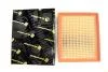 Фильтр воздушный Sonata NF (RIDER) TanGun REC130198 (фото 2)