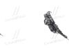 Кронштейн решітки радіатора TOY RAV4 19- TEMPEST 049 5290 999 (фото 2)