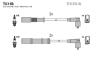 Провода высоковольтные (к-кт) FIAT DOBLO (05-) 1.4i BLATNA TESLA T631B (фото 1)