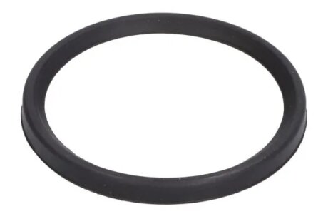 Ущільнювач патрубка інтеркулера THERMOTEC DCC079TT