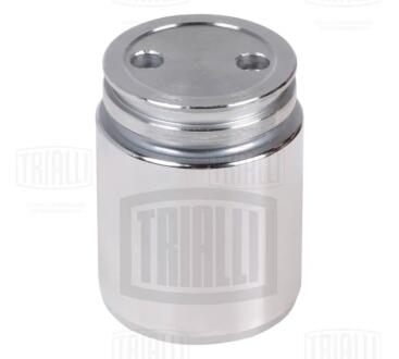 Поршень зад. суппорта для а/м Ford/Mazda/Opel/Renault/SAAB/VOLVO d=38mm Trialli RCF 102064