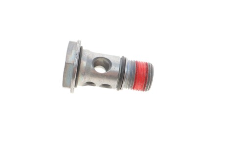 Болт пустотелый Amarok, Caddy, Golf, Jetta, Tiguan, Polo/A1, A3, TT/Fabia, Octavia, Superb 1.6, 2.0 (06-) VAG WHT003496