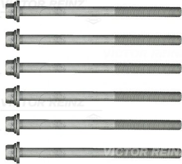 Болти головки блоку циліндрів, комплект VICTOR REINZ 141778301