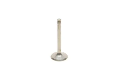 Клапан впускной VW Golf (84-98),Jetta (84-92),Passat (88-97),T4 (91-04)/Seat Ibiza (93-96),Toledo (92-96) VIKA 11090177201