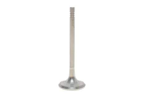 Клапан випускний Skoda Octavia (00-10,04-13)/VW Golf (00-05,08-12)/Audi A4 (01-04) VIKA 11090724501