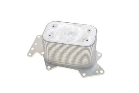 Радіатор масляний VW Touareg (03-10) 3.0L/Audi A4 (05-08), A6 (05-08), A8 (04-10), Q7 (07-09) 2.7L VIKA 11171698701