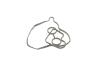 Прокладка масляного радиатора VW Touareg/Audi A4, A4 Allroad, A5, A6, A7, A8, Q5, Q7 3.0D (07-) VIKA 11171702801 (фото 1)
