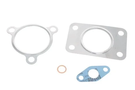 Комплект прокладок турбіни VW Passat (03-05)/Audi A6 (00-05),A8 (00-02) 2,5D mot.AKE,BAU,BDH VIKA 11451790801