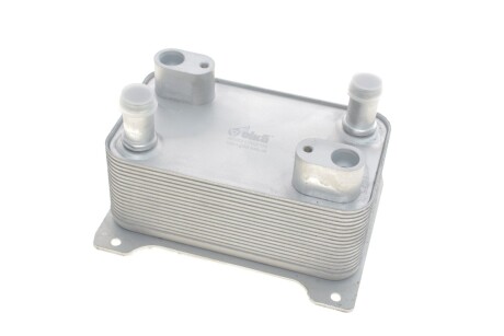 Радиатор масла VW Passat (06-11)/Audi A8 (04-10) VIKA 13171597001