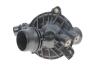 Термостат BMW 3 E90,E91,E92,E93, 5 E60,E91 (02-10), X3 (06-10) VIKA 13750000201 (фото 1)