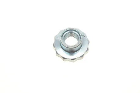 Гайка ступицы Skoda Fabia (00-15,15-), Roomster (06-10,11-15)/Seat Ibiza (02-12,13-), Toledo (13-16) VIKA 54070057301