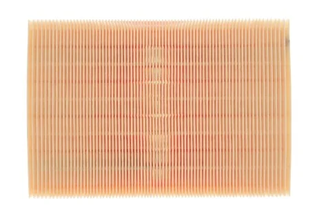 Фільтр повітряний BMW (WIX-Filtron UA) /AP028 WIX FILTERS WA6192