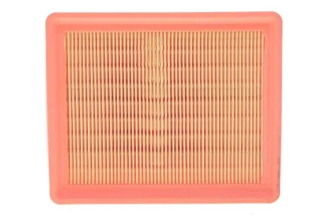 Фільтр повітряний CITROEN Berlingo II, PEUGEOT (вир-во WIX-Filtron UA) /AP080/10 WIX FILTERS WA9409