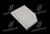 Фільтр салону Bmw 2, 3, 4, i4, IX3, X3, X4, X4, Z4 (18-) WIX WIX FILTERS WP2204 (фото 1)