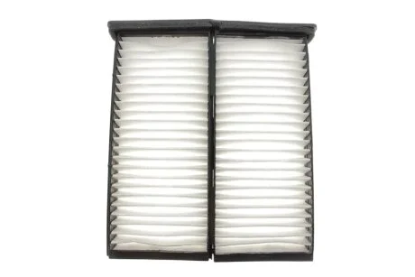 Фільтр салону MITSUBISHI CARISMA, L200 96-07 (2шт.) (вир-во WIX-FILTERS) WIX FILTERS WP9220